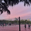 wade侍卫 - 如斯