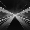 7美人、珊姐、陵梦 - 胜者为王败者寇 只重衣冠不重人