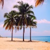 Relaxing Music Moments - Alluring Music for Relaxing