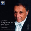 Bayerisches Staatsorchester、Zubin Mehta - Symphonie Nr. 3, d-moll: Erste Abteilung. 1. Satz: Kräftig. Entschieden