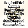 Yoga Master、Yoga Shala、Yoga & Meditation《Tropical Birds For Concentration To Sleep With》[MP3/LRC]