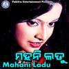 Santanu Sahoo、Iswari Das - A Tor Chhanki Jauche
