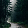 Sleep Sounds of Nature、Sounds of Nature Noises、Nature Therapy - Nature Sounds for Deep Sleep, Nature Sounds, Pt. 1