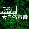 Sue苏言 - 大自然的声音:天然坝口
