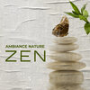 Exercices à Zen Musique Douce - Journée Sérénité