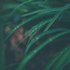 Musica Para Meditacion Profunda、Academia de Música para Massagem Relaxamento、Fabricantes De Lluvia - Entre Las Nubes