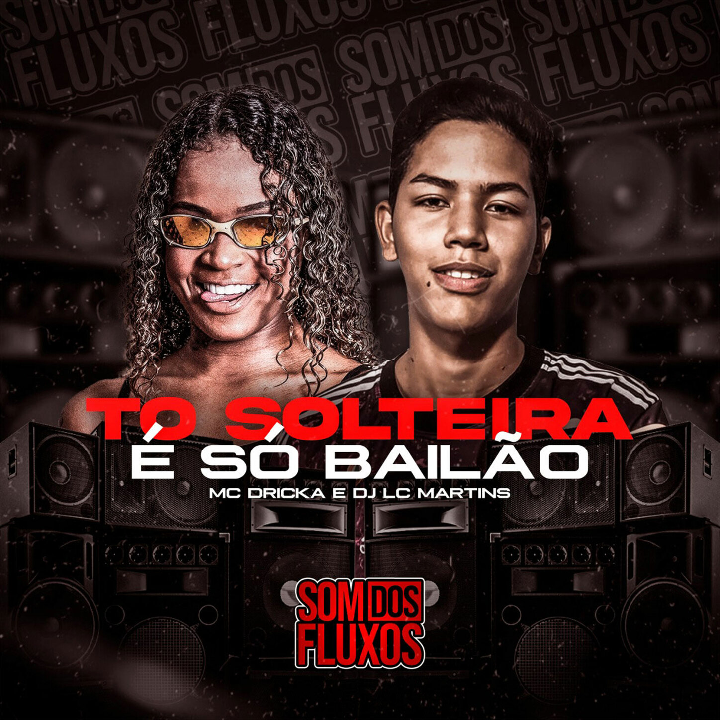 DJ LC MARTINS、MC Dricka - Tô Solteira é Só Bailão - Remix Arrocha Funk (Explicit)
