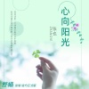 张也《心向阳光》[MP3/LRC]