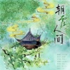 Zipper.zip、颜九nine - 朝露人间