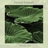 Forest Sounds - Deep Woodland Stream