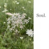 Grant、Helen、Matt《Soul.》[MP3/LRC]