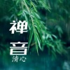 Sue苏言 - 禅茶一味 1