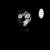 Shu、SaSoDolo - Indelible (Explicit)