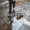 Nature Spirit、Nature Recordings、Sounds of Nature White Noise Sound Effects - Rain in the Rainy Forest To Relax and Loop for 8 Hours