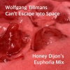 Wolfgang Tillmans、Honey Dijon - Can't Escape into Space (Honey Dijon's Euphoria Mix)