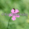 White Noise Meditation - Zen Desires