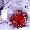 Avidus - Prometheus
