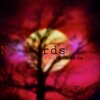 NBK the Lion King、Letie - No words (feat. Letie)