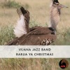 Vijana Jazz Band - Barua Ya Christmas