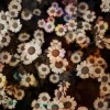 L'Orange、Austin Hartsook - OK Not Perfect