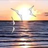 Federica Zammarchi - Foolish (He Can Fly)