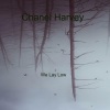 Chanel Harvey - Can't Catch Me