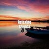 Help Your Baby Sleep Through The Night、Concentration Music for Work、Catching Sleep - Relaxing Sounds
