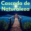 Cascada de Lluvia、Sounds of Nature for Deep Sleep and Relaxation、Relajación Natural Maestro - Rain Under the Porch