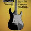 Stan Webb's Chicken Shack - The Thrill Has Gone (Live)