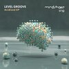 Level Groove - Acidized (Original Mix)