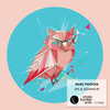 Marc Poppcke - This Is Just The Beginning