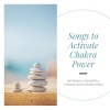 Chakra Alchemy《Chakra Alchemy》[MP3/LRC]