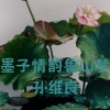 孙维良 - 墨子情韵鲁山梦
