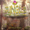 Raffaele Poggio - Jungle (Short Edit)