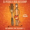 dj pedro、Rob Boskamp - Big Surprise (Are You Ready?)