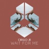 Cirillo JR - Wait For Me (Original Mix)