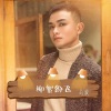刘宸 - 柳絮纷飞