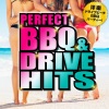 PARTY HITS PROJECT - The Middle (PARTY HITS EDIT)