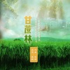 晓枫 - 甘蔗林