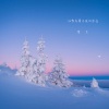 笑天 - 让雪花带走我的思念 (DJ何鹏版)