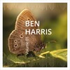 Ben Harris - Money Street