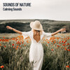 The Outdoor Library、Brain Timbre、amazing Spa Experience - Natural Meditation