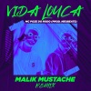 Mc Poze do Rodo、Malik Mustache - Vida Louca (Remix)