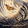 Zac Tiessen、Yoed Nir、Larry Salzman - The Gaming of the Shrew