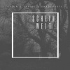 Trion、Gnadenbote、Tayori - Scheinwelt (feat. Gnadenbote & Tayori)