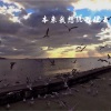 俊禄 - 本来我想隐姓埋名