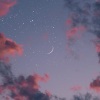 蓝云木 - 花月夜