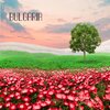 Cluster - Bulgaria