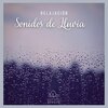 Lluvia del Bosque - Relajación: Sonidos de Lluvia, Pt. 01