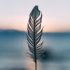 Self Care Meditation - The Break